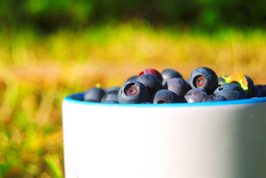 Similar image 802828