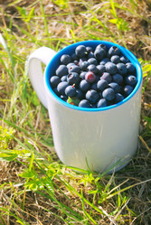 Similar image 802829