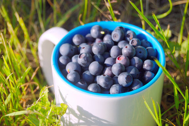 Similar image 802830