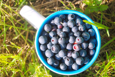 Similar image 802831