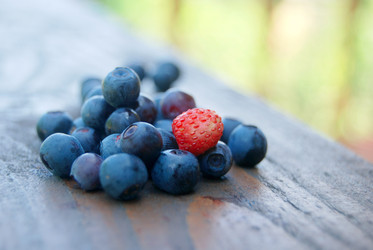 Similar image 802838