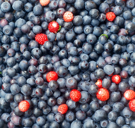 Similar image 802839