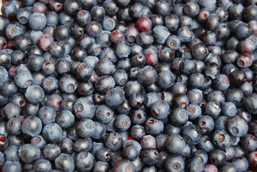 Similar image 802842