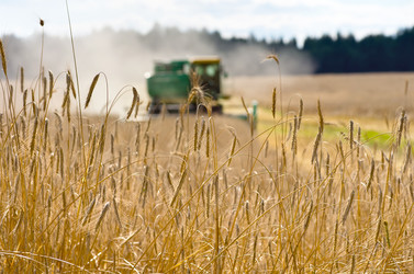 Similar image 802853