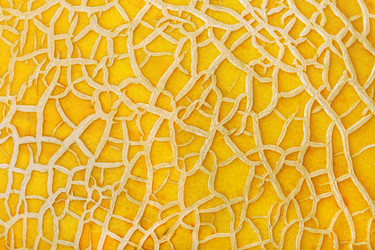 Similar image 802858