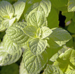 Similar image 802977