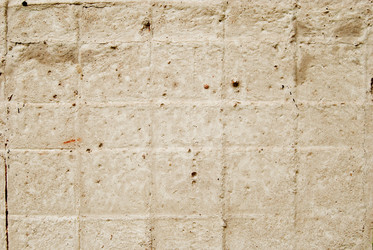 Similar image 803039