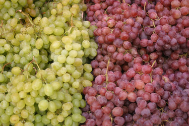 Similar image 803060