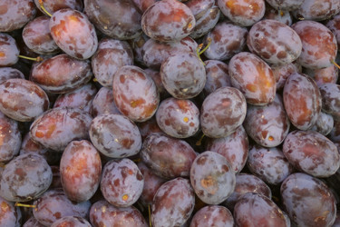 Similar image 803066