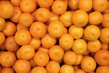 Similar image 803069