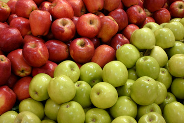 Similar image 803070