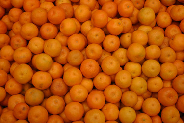 Similar image 803072