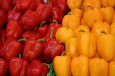 Similar image 803074