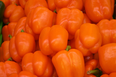 Similar image 803075