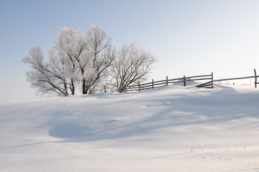 Similar image 803118