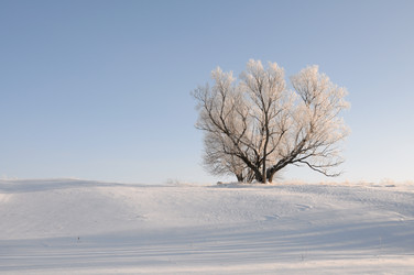 Similar image 803119