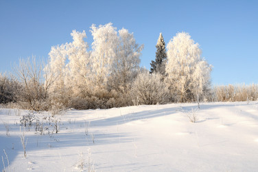 Similar image 803120