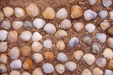 Similar image 803122