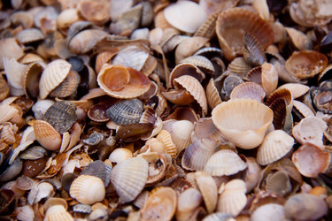 Similar image 803125