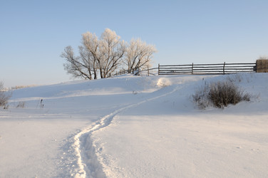 Similar image 803130