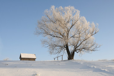 Similar image 803131