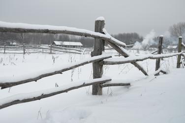 Similar image 803135