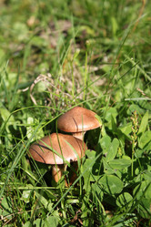 Similar image 803144