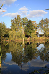 Similar image 803192