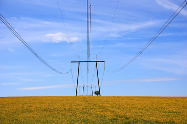 Similar image 803199