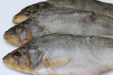 Similar image 803200