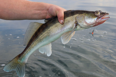 Similar image 803210