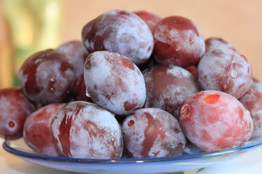 Similar image 803218