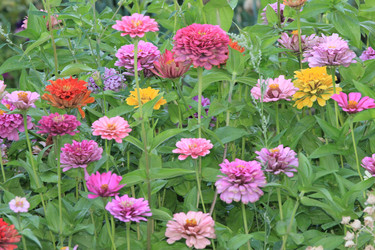 Similar image 803220