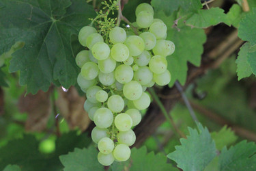 Similar image 803229