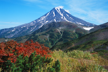 Similar image 803237