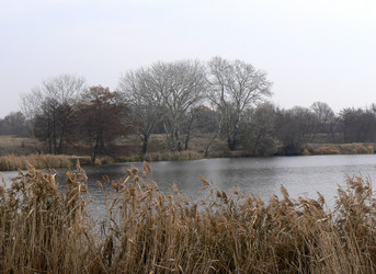 Similar image 803281