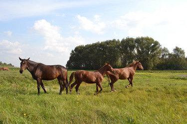 Similar image 803324