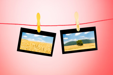 Similar image 803323