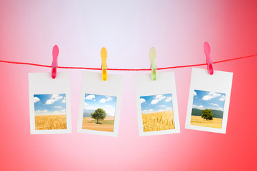 Similar image 803326