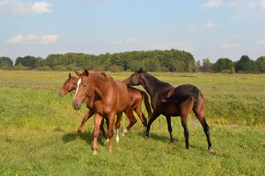 Similar image 803328