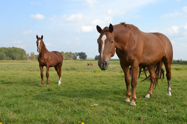 Similar image 803338