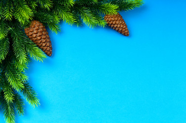 Similar image 803356