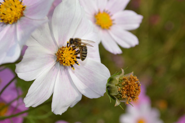 Similar image 803358