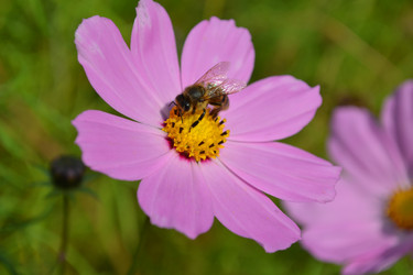 Similar image 803359