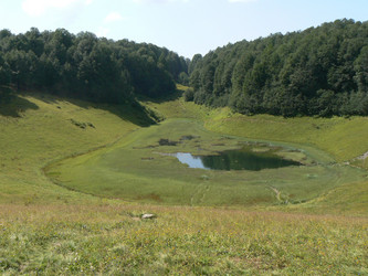 Similar image 803360