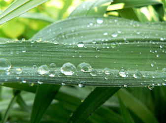 Similar image 803376