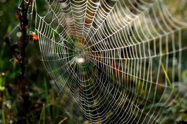 Similar image 803390