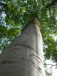 Similar image 803416