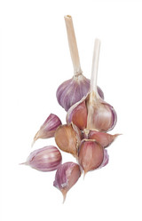 Similar image 803458