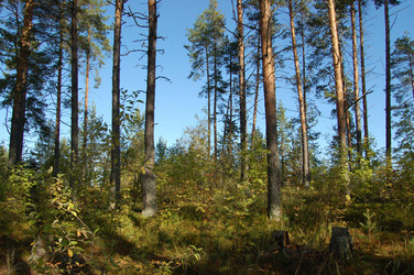 Similar image 803463